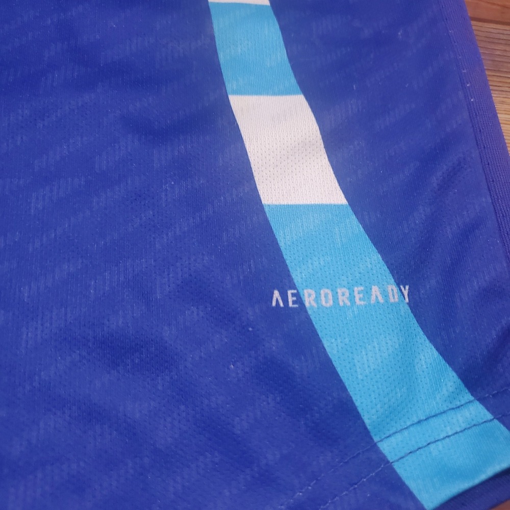 Adidas Argentina 2024 Copa America Jersey Blue Jesse 28 Authentic Soccer Mens L - Picture 4 of 15